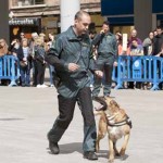 Exhibición: La intervención de canes en la labor policial.. Plaza de la Universidad