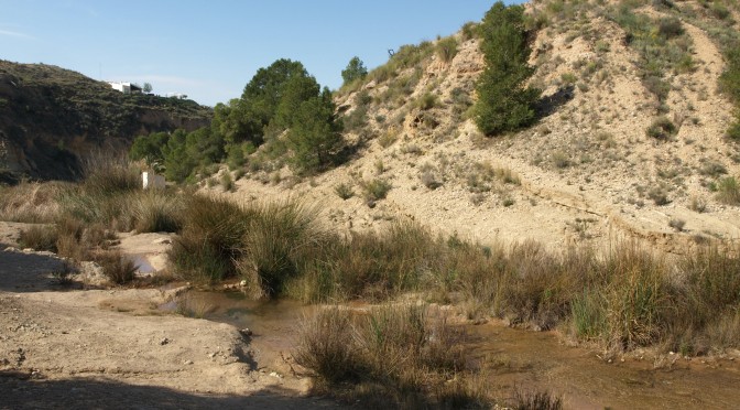 El río Chicamo, un pequeño afluente árido que esconde una gran biodiversidad