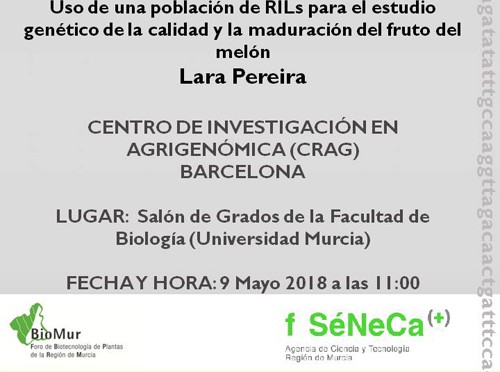 Un seminario de la Universidad de Murcia analiza la genética del melón