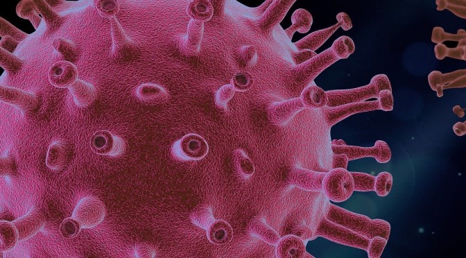El Instituto de Salud Carlos III homologa a la UMU como laboratorio para hacer pruebas PCR de diagnóstico del coronavirus