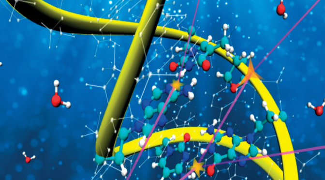 La UMU desarrolla modelos físicos más precisos para describir el dañado del ADN durante terapias contra el cáncer