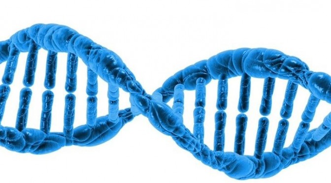 Longseq, una empresa nacida de la UMU que secuencia ADN de cadena larga para diagnosticar enfermedades con base genética