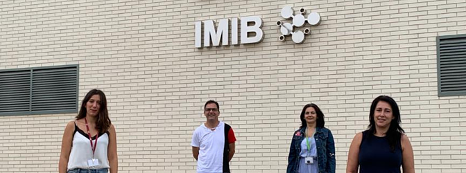 Investigadores de la UMU y el IMIB descubren un nuevo proceso implicado en la enfermedad rara Leucodistrofia hipomielinizante 14