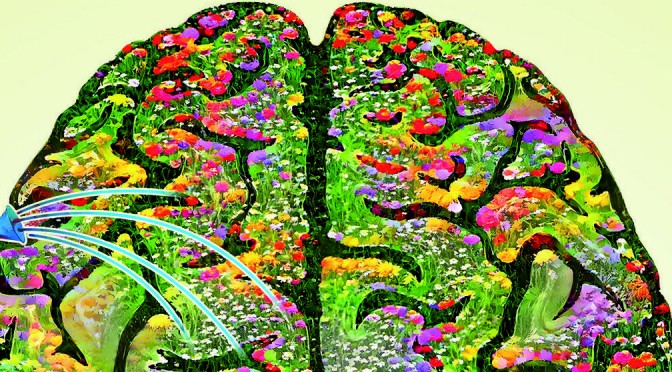 Arranca este lunes la XIX Semana Mundial del Cerebro que abordará temas como la capacidad de las máquinas de interaccionar con el cerebro