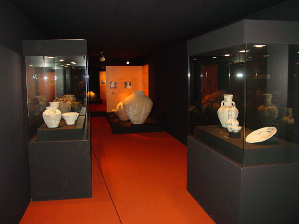 El museo arqueológico de Alicante será uno de los museos estudiados en el curso.